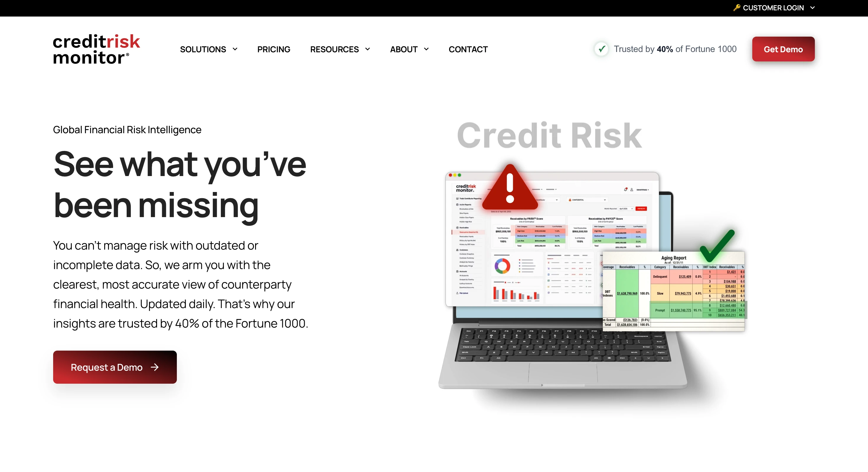 Credit Risk Monitor (CRMZ) project screenshot